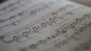 Mozart Ensemble Wien Konzerte 2025