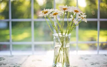Verlängern Sie die Lebensdauer von Blumen in Vasen