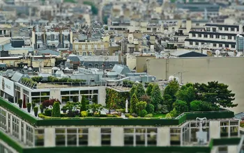 Dachterrassengestaltung Wien