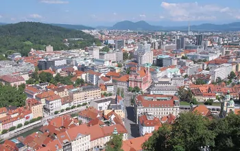 Umzug Wien Ljubljana