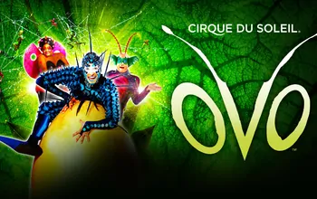 Cirque du Soleil - Ovo