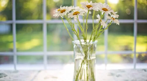 Verlängern Sie die Lebensdauer von Blumen in Vasen