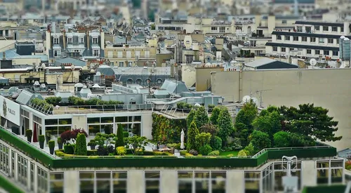 Dachterrassengestaltung Wien