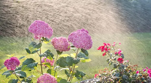 Gartenbewässerung mit System