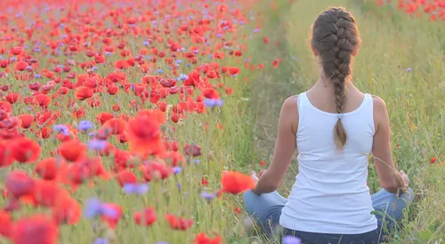 Yoga in Wien