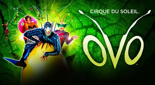 Cirque du Soleil - Ovo