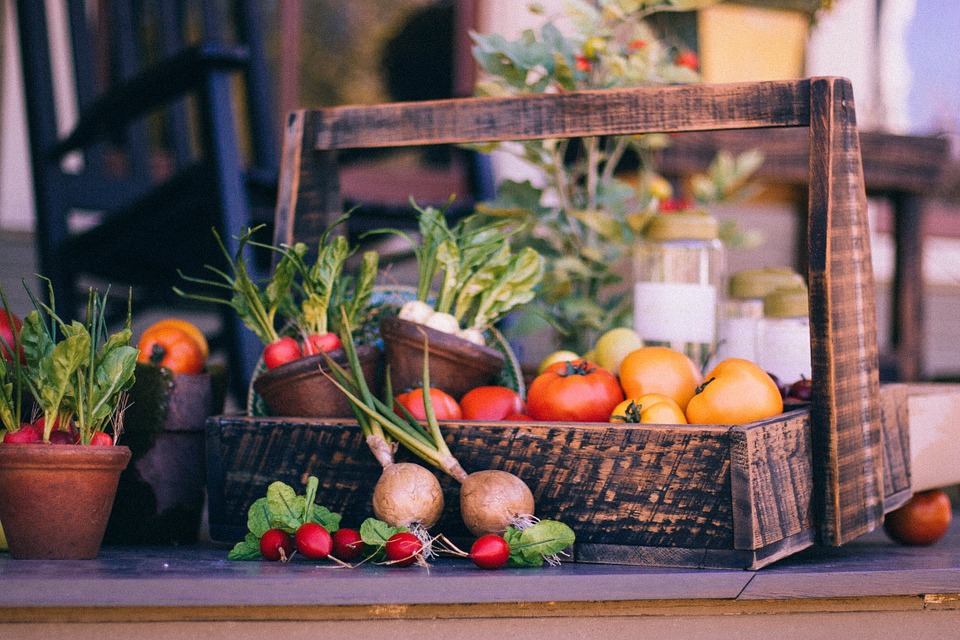 Gemüsegarten planen